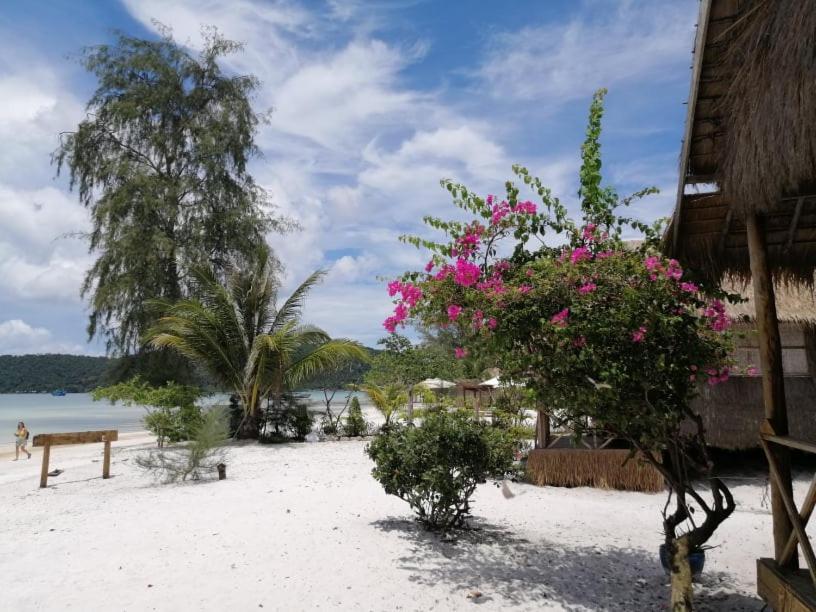 Green Blue Beach Hostel 高龙撒冷岛 外观 照片